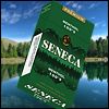 Seneca Indians Banned From Mail-Order Cigarette Biz